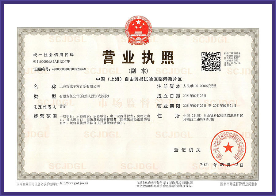 美豪音乐集团战略框架提升,荣升国家级集团公司 8 5