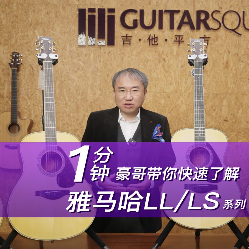 雅马哈 L系列