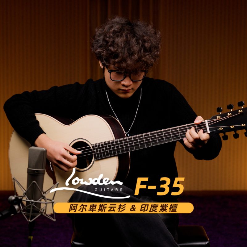 F 35阿尔卑斯云杉印度紫檀 中 小