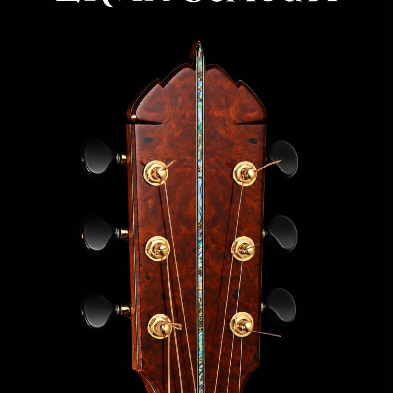 ErvinSomogyi Banner