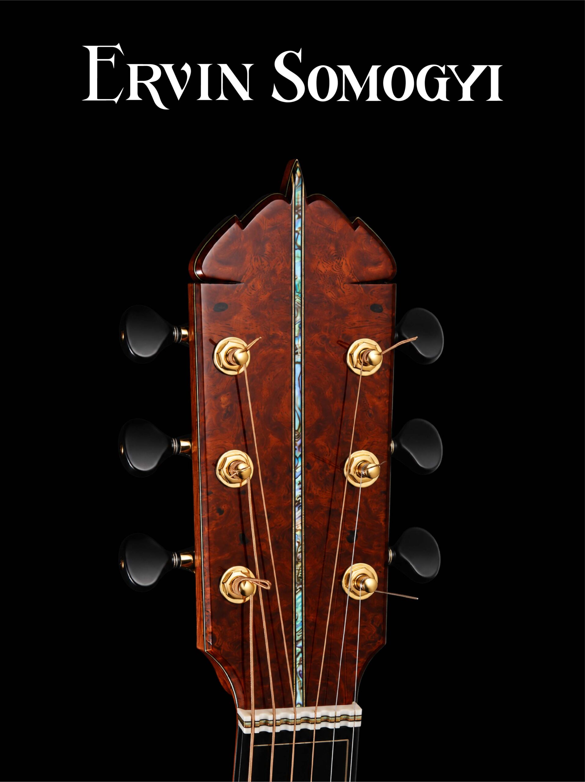 ErvinSomogyi Banner