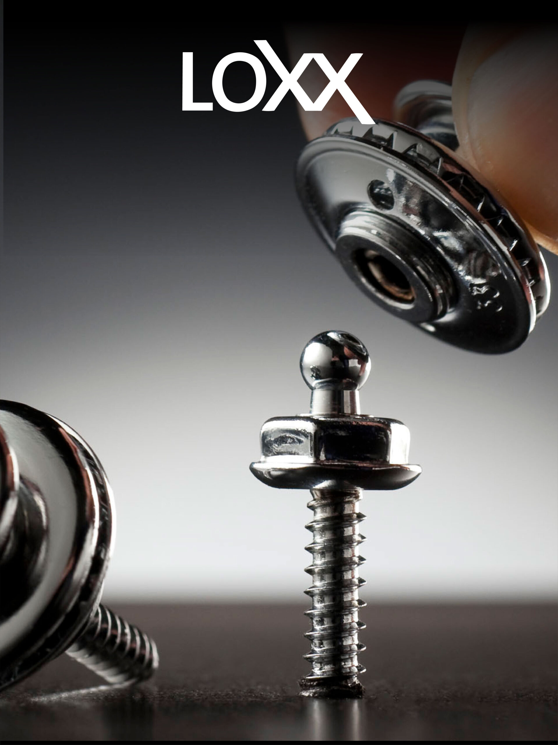 Loxx Banner