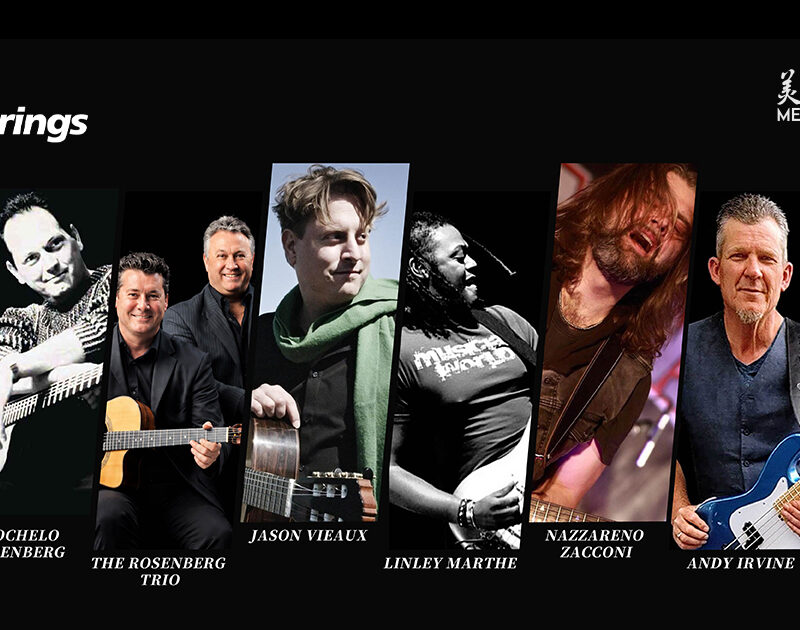 galli-strings-artists-overview