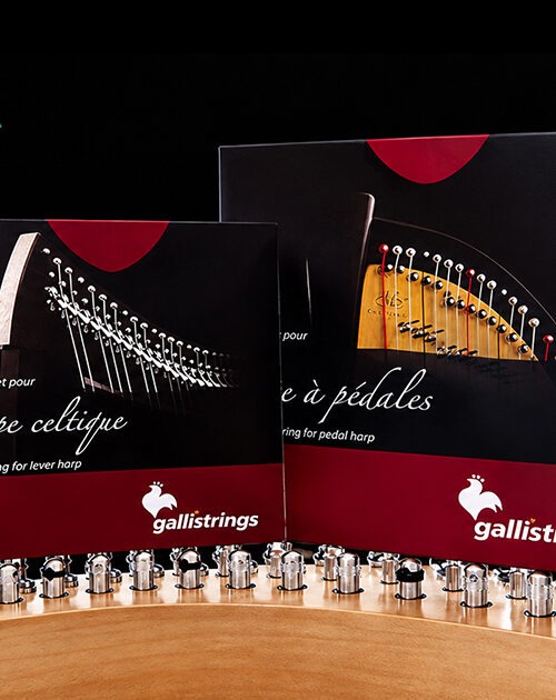 Harp Strings 中国总代理:Galli 竖琴弦的窄品类渠道价值与供货 7 galli-strings-harp-celtic-concert