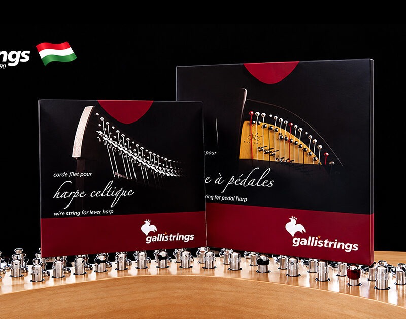 galli-strings-harp-celtic-concert
