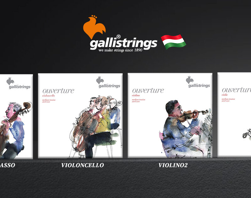 galli-strings-violin-viola-cello-bass