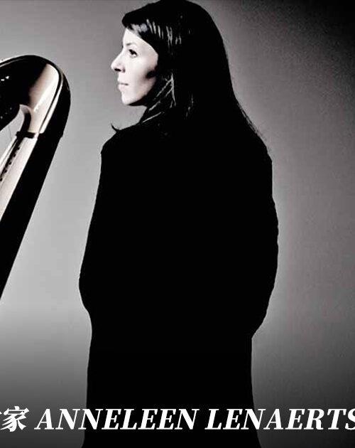 Galli 合作艺术家 Anneleen Lenaerts:竖琴弦的顶级背书 19 galli-artist-anneleen-lenaerts-harp-strings