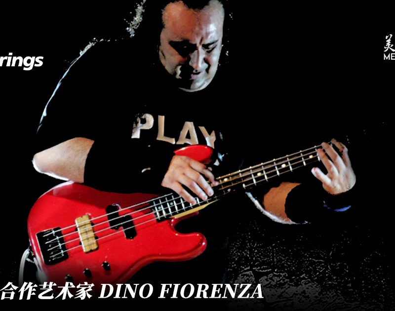galli-artist-dino-fiorenza-bass-strings
