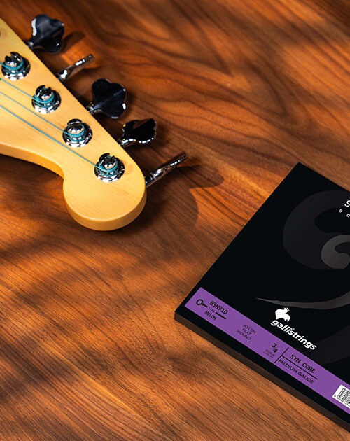 galli-double-bass-syn-flat-nylon-bsn910-medium-synthetic-and-nylon