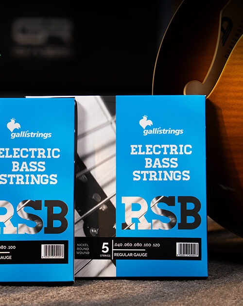 galli-rsb-nickel-s-rsb40100-4-strings-double-ball